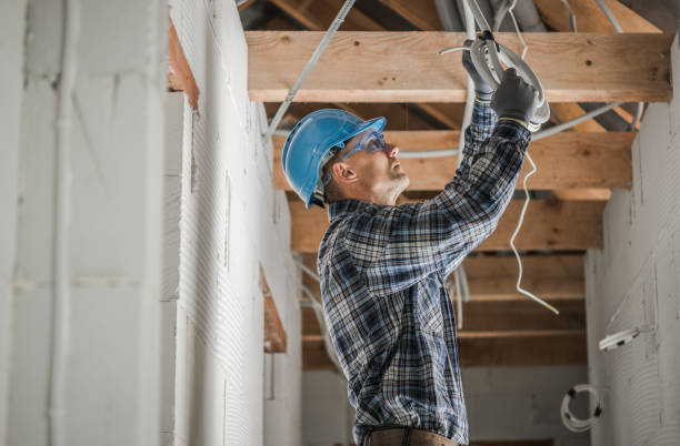 Best Electric Panel Repair  in Edgewood, NM